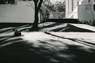  This is part of a series of images I took during a walk through Auckland City at lunch time.